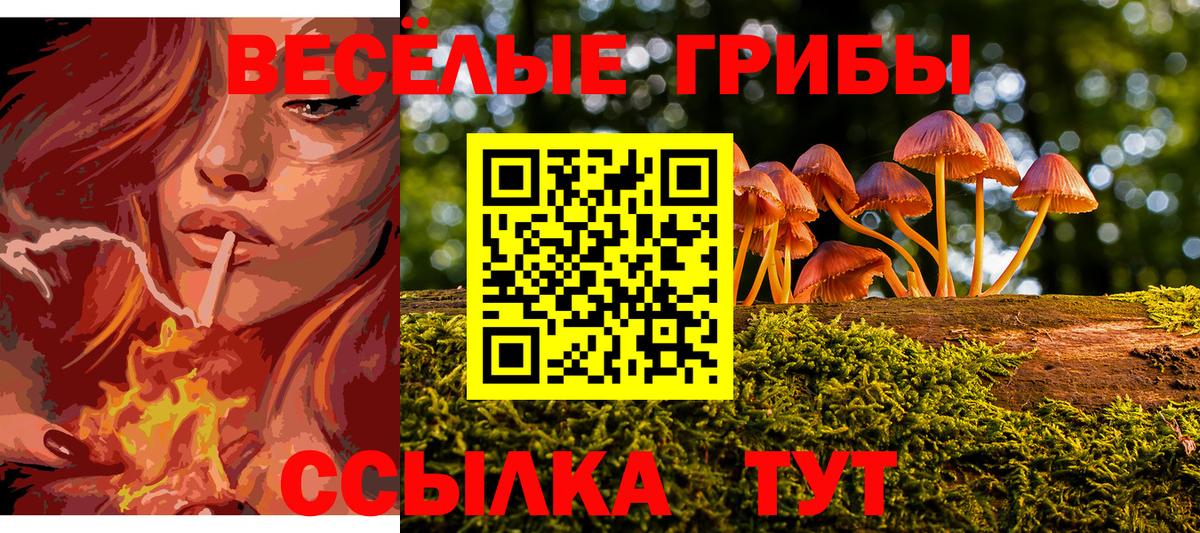 Псилоцибиновые грибы GOLDEN TEACHER Ставрополь
