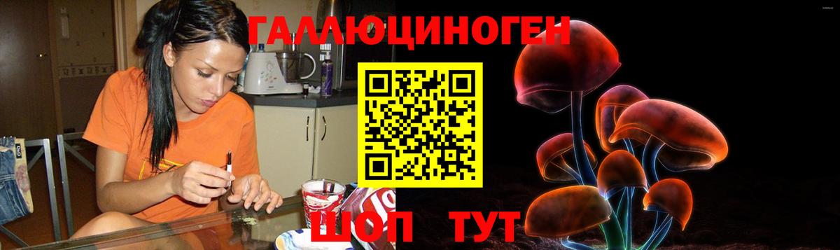 Псилоцибиновые грибы GOLDEN TEACHER  Вход с VPN  Галлюциногенные грибы GOLDEN TEACHER  Ставрополь 